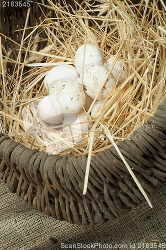 Image of Organic white domestic eggs in vintage basket