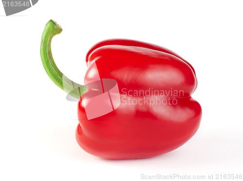 Image of Paprika