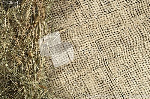 Image of Hay on burlap