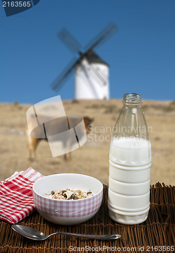 Image of Muesli breakfast in a bow, spoon and milk