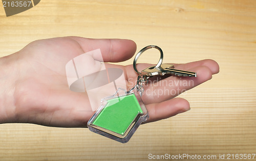 Image of Keychain with figure of green house