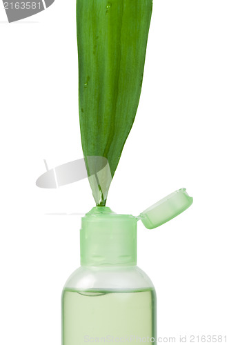 Image of Green cosmetic bottle and leaf