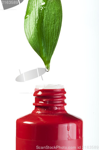 Image of Green leaf and drop over a tube of cosmetics