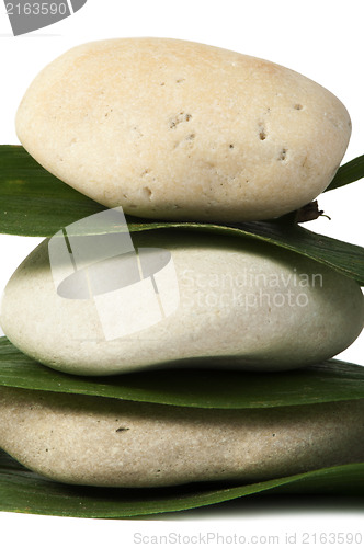 Image of Stacked stones on base of green leafs