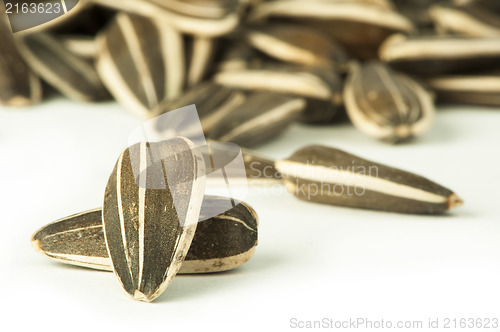 Image of Raw sunflower seed