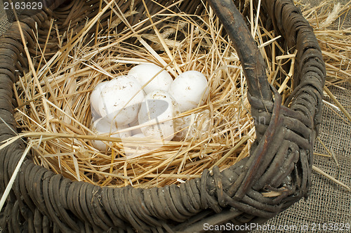Image of Organic white domestic eggs in vintage basket