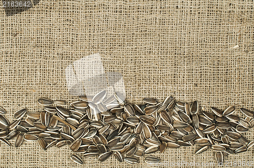 Image of Closeup raw sunflower seeds on burlap