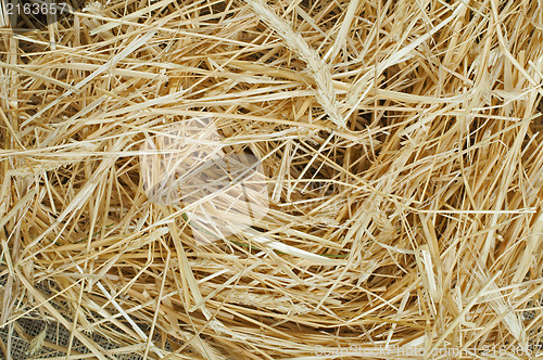 Image of Straw close up background