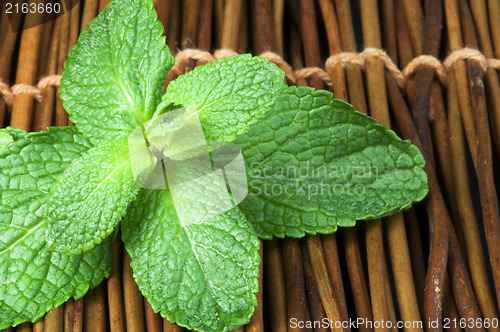 Image of Mint leaves on wooden base
