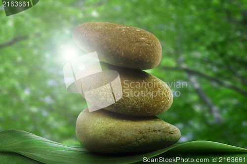 Image of Stacked stones on base of green leafs