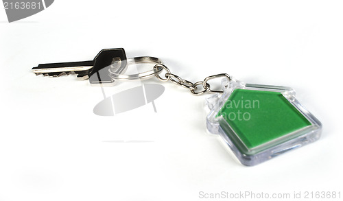 Image of Keychain with figure of green house