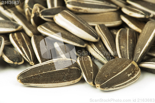 Image of Raw sunflower seed