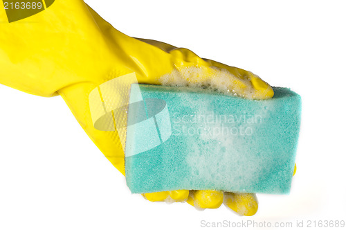 Image of Sponge for washing dishes