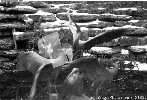 Image of Stone Birds in Flight