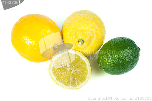 Image of Three varieties of lemons