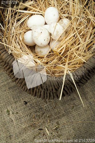 Image of Organic white domestic eggs in vintage basket