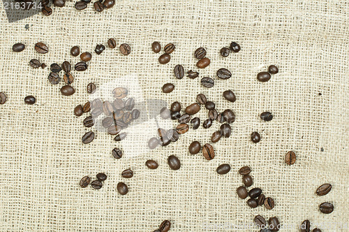 Image of Coffee beans