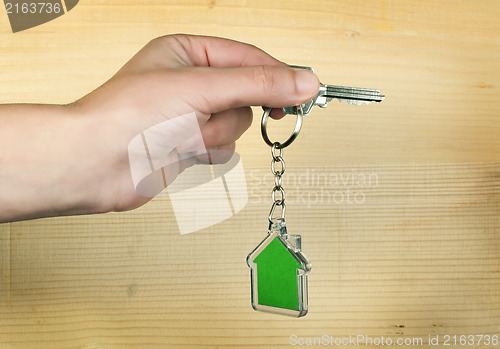 Image of Keychain with figure of green house