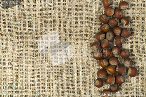 Image of Closeup hazelnuts on burlap