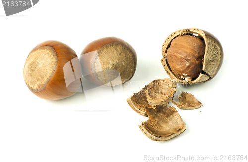 Image of Closeup raw hazelnuts white isolated