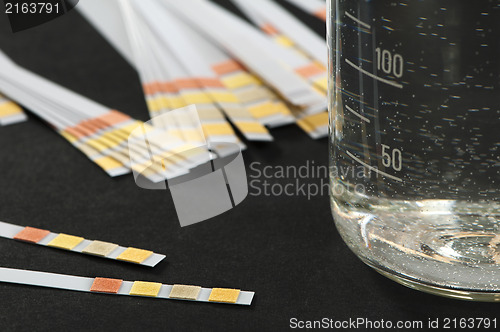 Image of Litmus strips