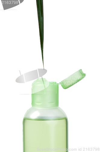 Image of Green cosmetic bottle and leaf