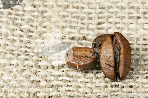 Image of Coffee beans