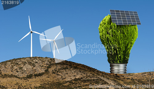 Image of Lamp made ??of green plants. Ecology conception