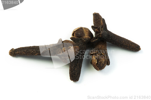 Image of Pieces clove spice