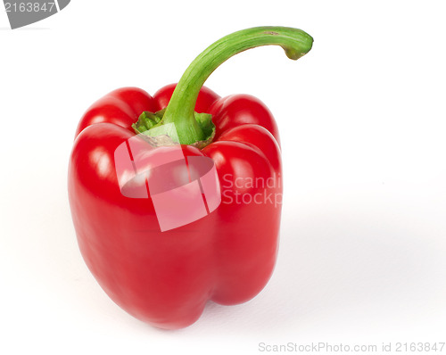 Image of Paprika