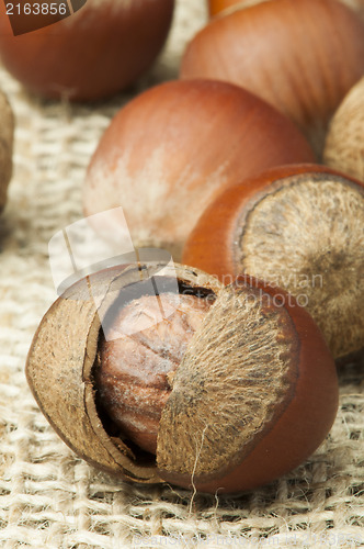 Image of Closeup raw hazelnuts on burlap