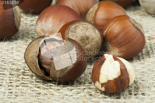 Image of Closeup raw hazelnuts on burlap