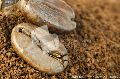 Image of Coffee beans and ground coffee