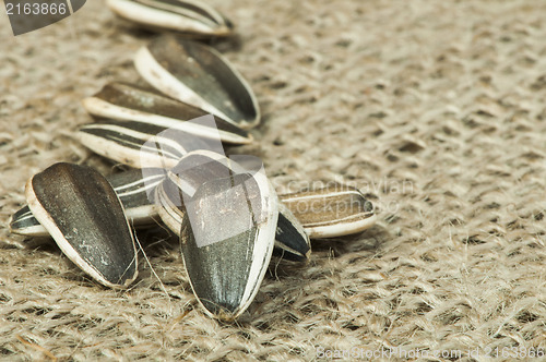 Image of Closeup sunflower seeds on burlap