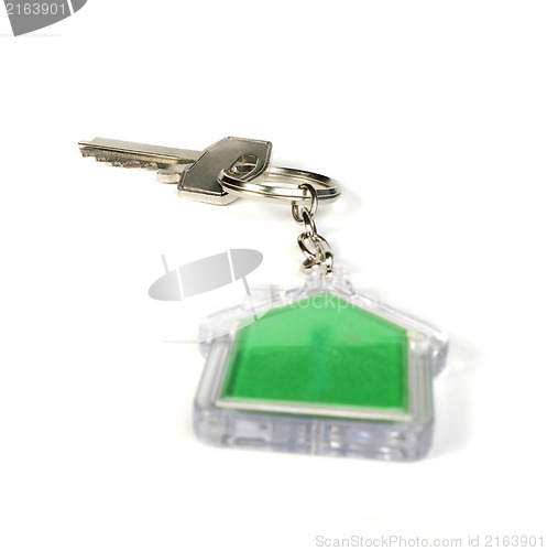 Image of Keychain with figure of green house