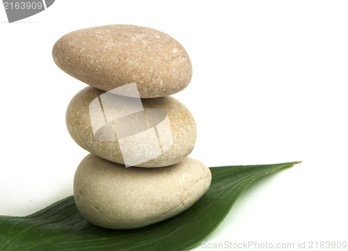 Image of Stacked stones on base of green leafs