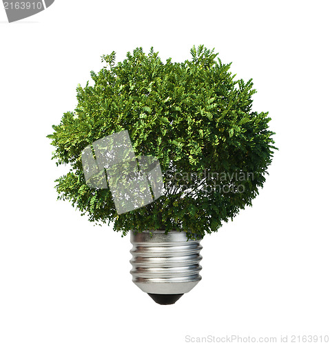 Image of Lamp made ??of green tree. Ecology conception