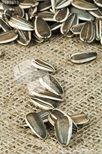 Image of Closeup sunflower seeds on burlap