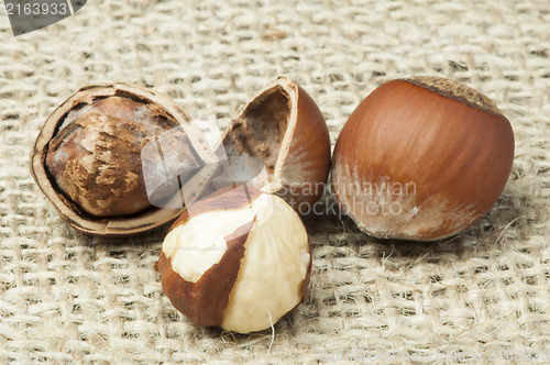 Image of Closeup raw hazelnuts on burlap