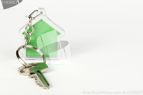 Image of Keychain with figure of green house