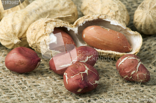 Image of Closeup Peanuts on burlap