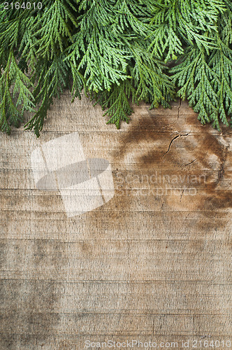 Image of Wood and fir branches background