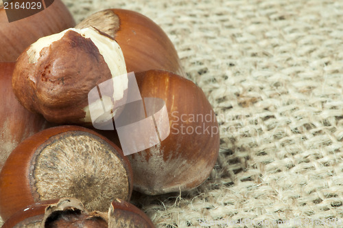 Image of Closeup raw hazelnuts on burlap