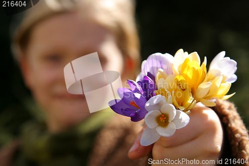 Image of Spring girl