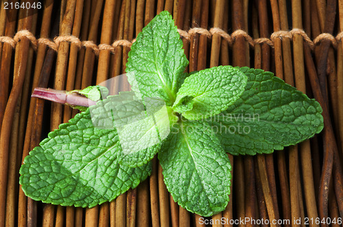 Image of Mint leaves on wooden base