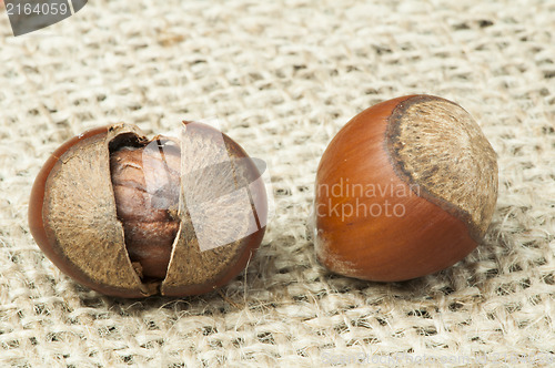 Image of Closeup raw hazelnuts on burlap