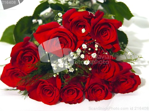 Image of Closeup of a Dozen Roses