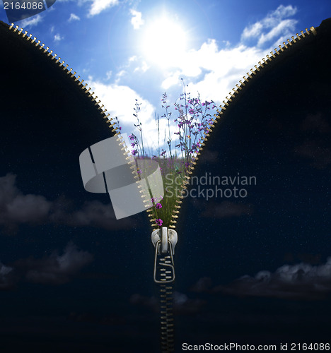 Image of Day and night conception