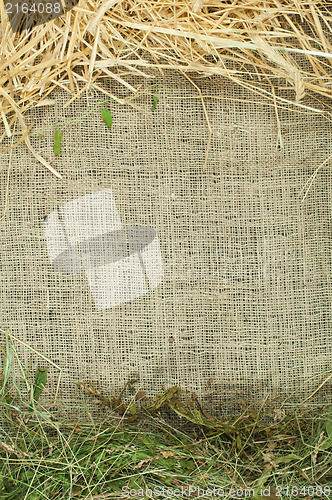 Image of Straw and hay on burlap