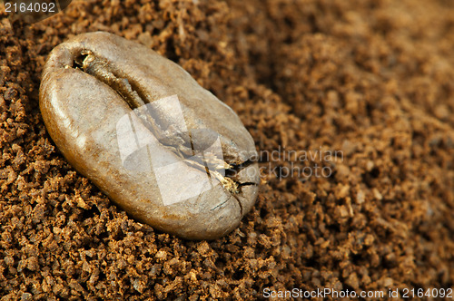 Image of Coffee beans and ground coffee